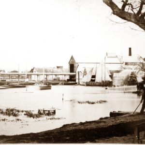 Max Harris Collection | Digital Image request